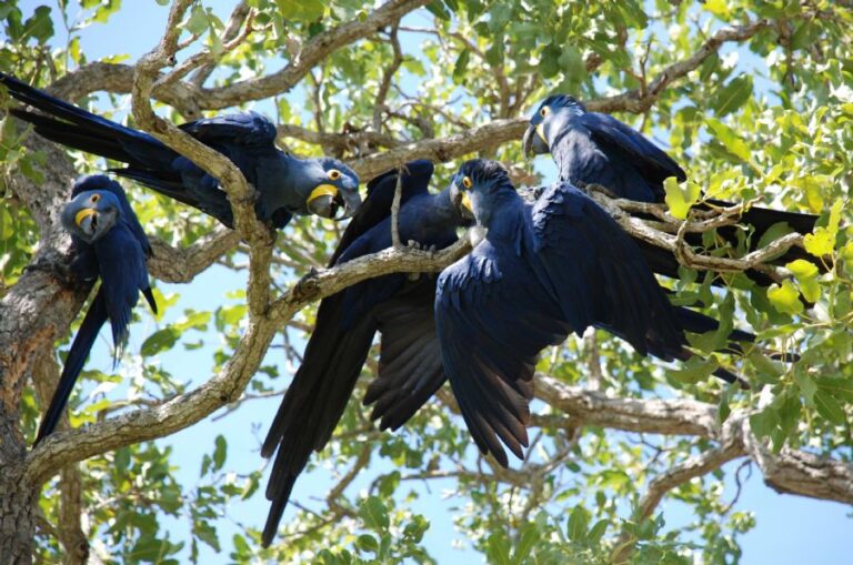 ecoadventures-atrativo-105-DSC_0422_GD-