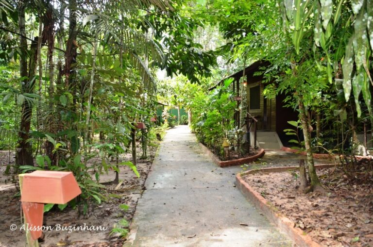 ????????????????????????????????????