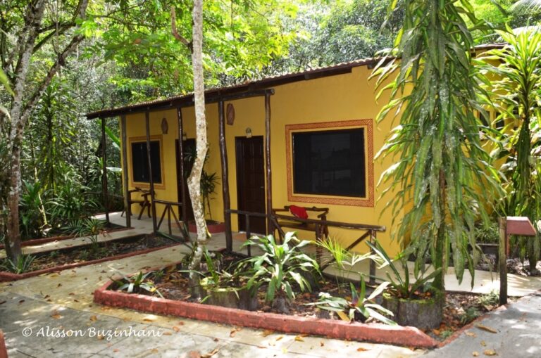 ????????????????????????????????????