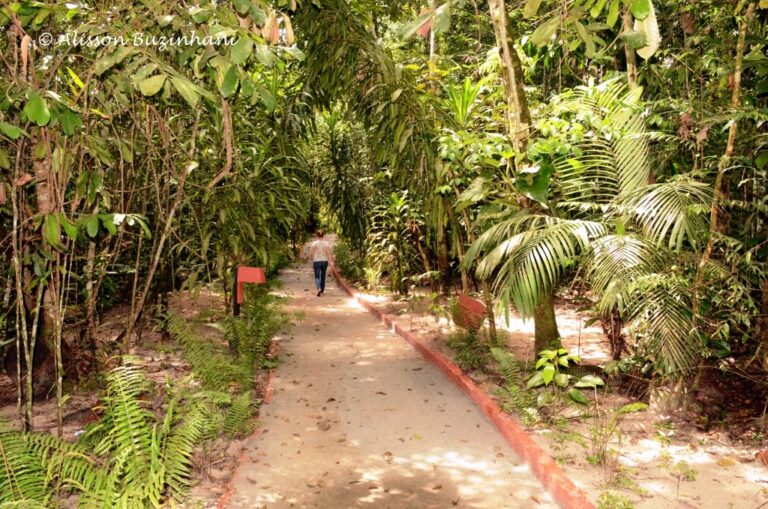 ????????????????????????????????????