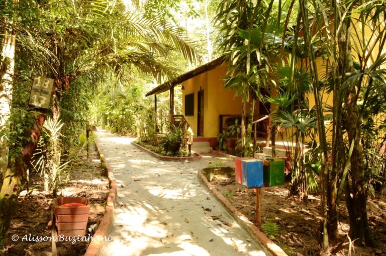 ????????????????????????????????????