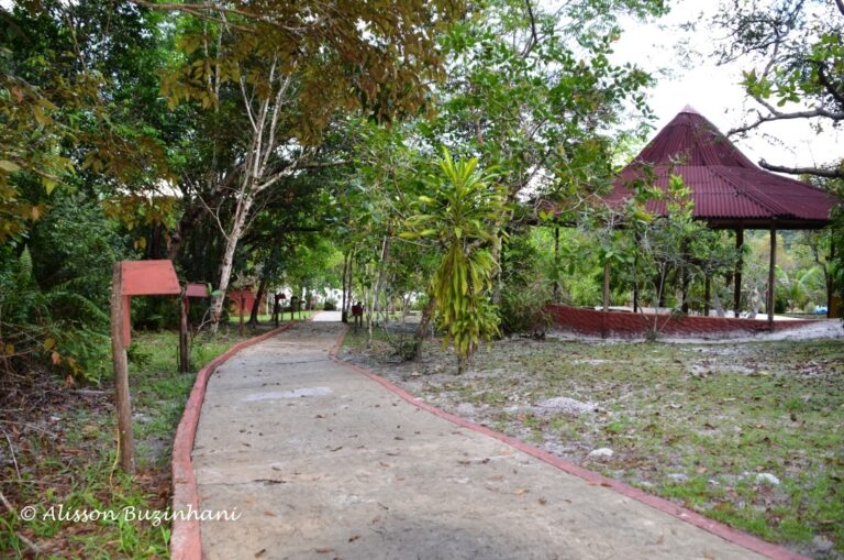 ????????????????????????????????????