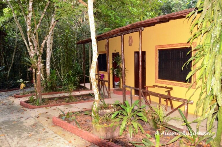 ????????????????????????????????????