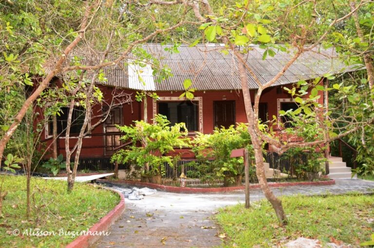 ????????????????????????????????????