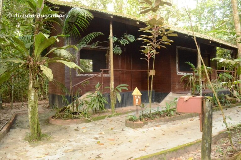 ????????????????????????????????????