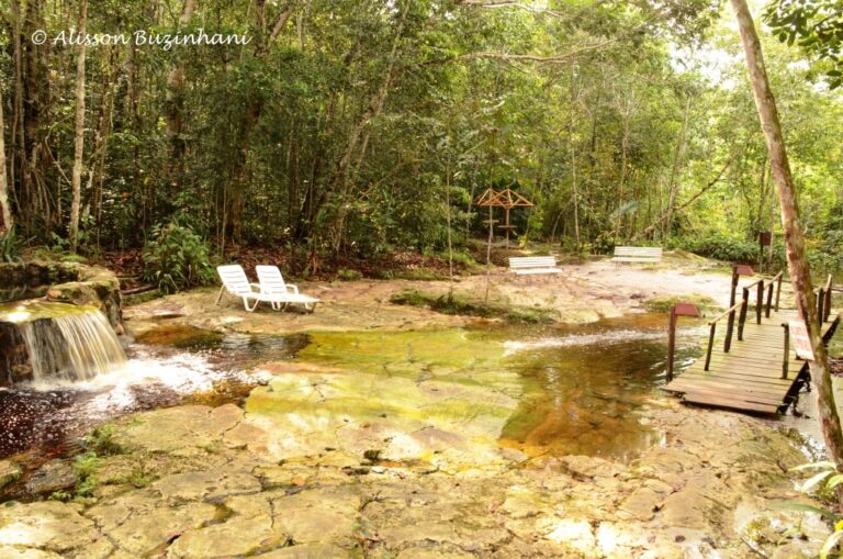 ????????????????????????????????????