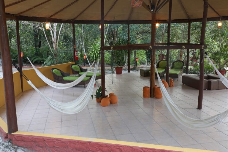 Amazon Ecopark Jungle Lodge (4) (5)