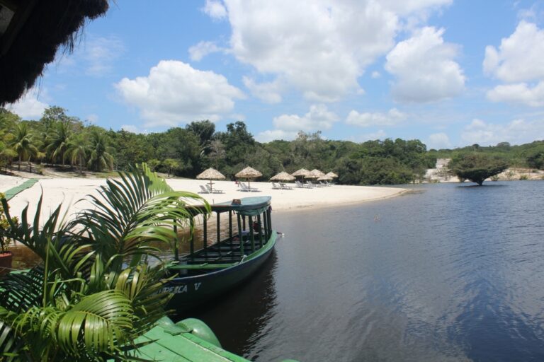 Amazon Ecopark Jungle Lodge (4)