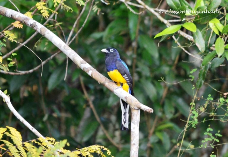 ????????????????????????????????????