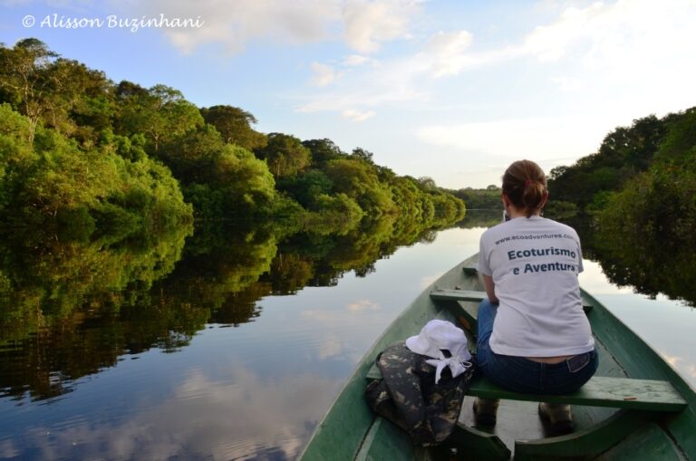 ????????????????????????????????????