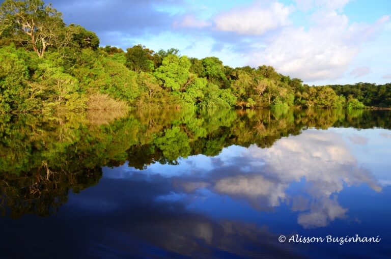 ????????????????????????????????????