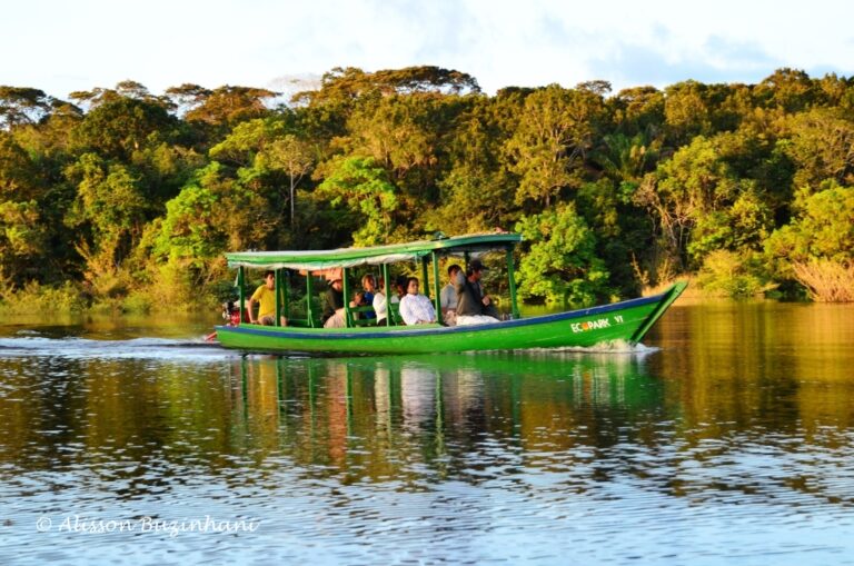 ????????????????????????????????????