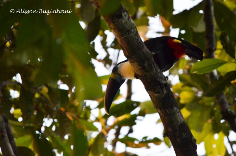 ????????????????????????????????????