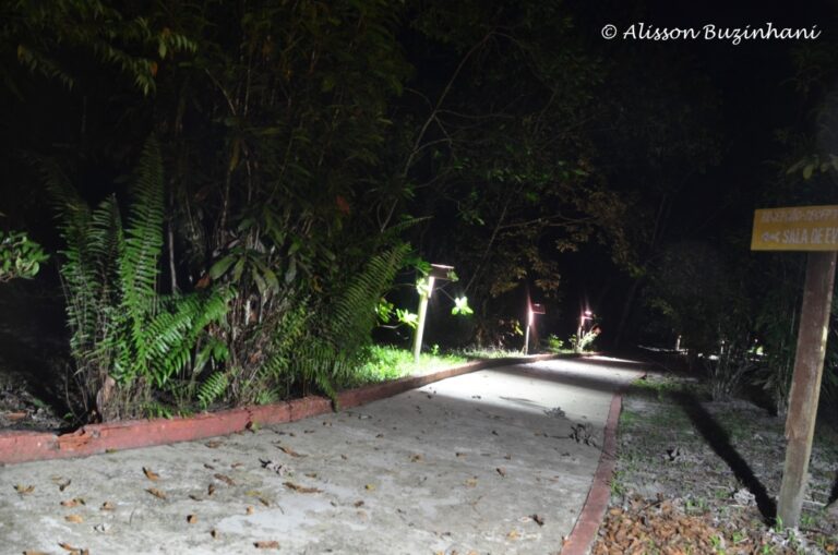 ????????????????????????????????????