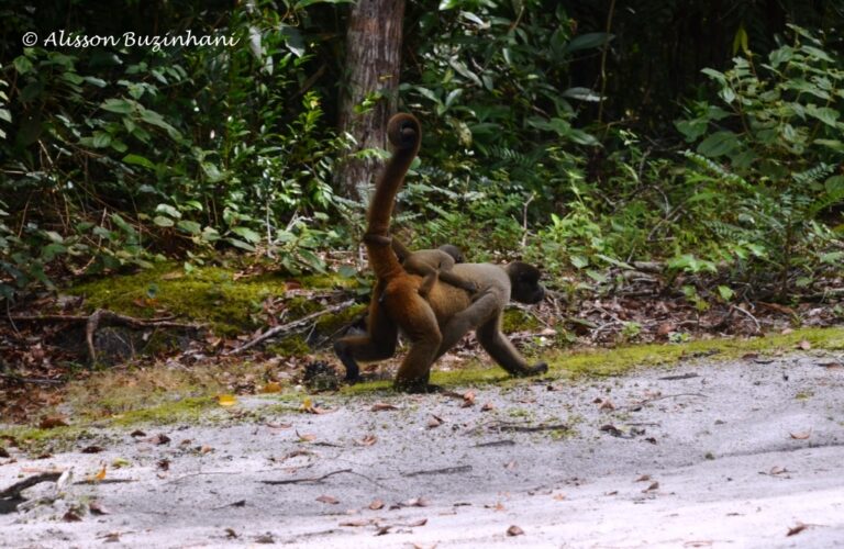 ????????????????????????????????????