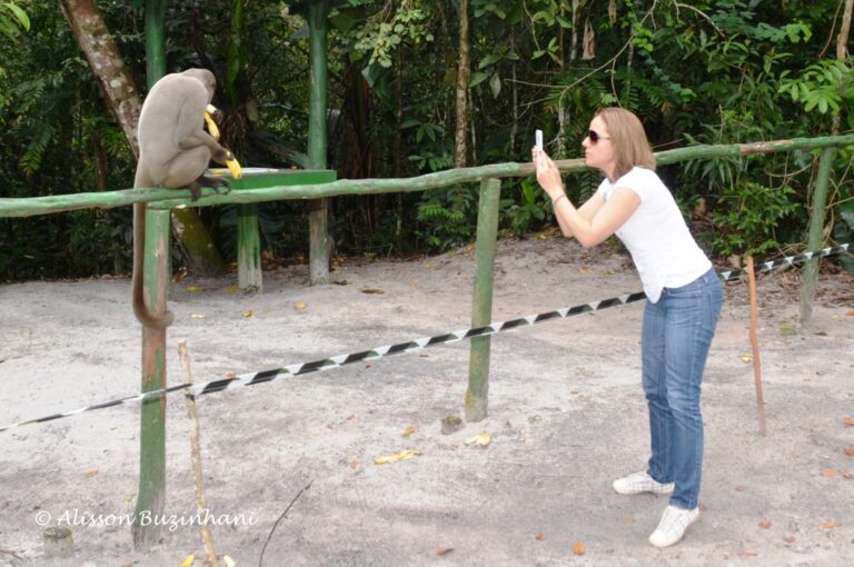 ????????????????????????????????????