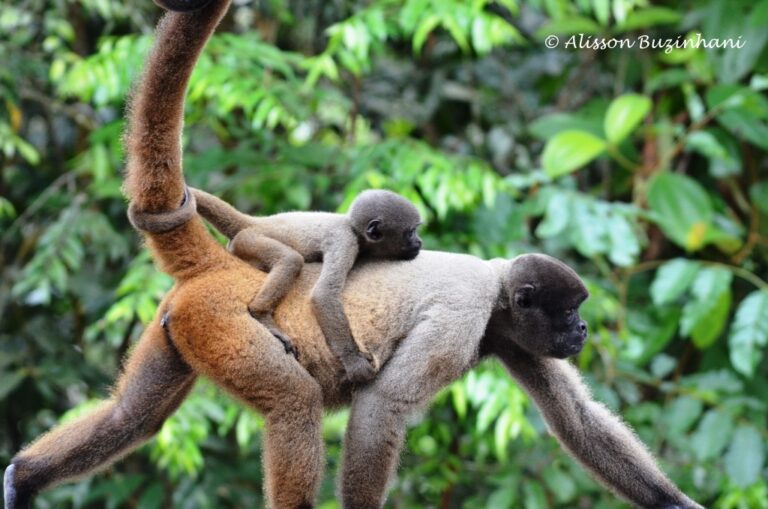 ????????????????????????????????????