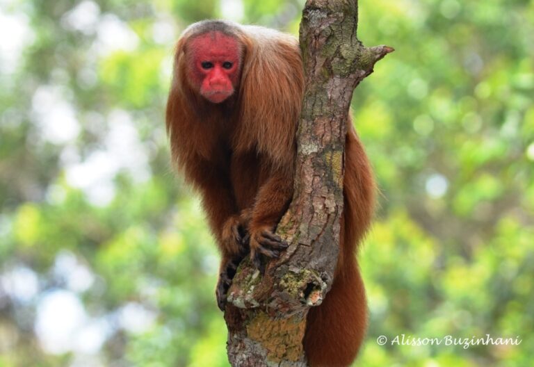 ????????????????????????????????????