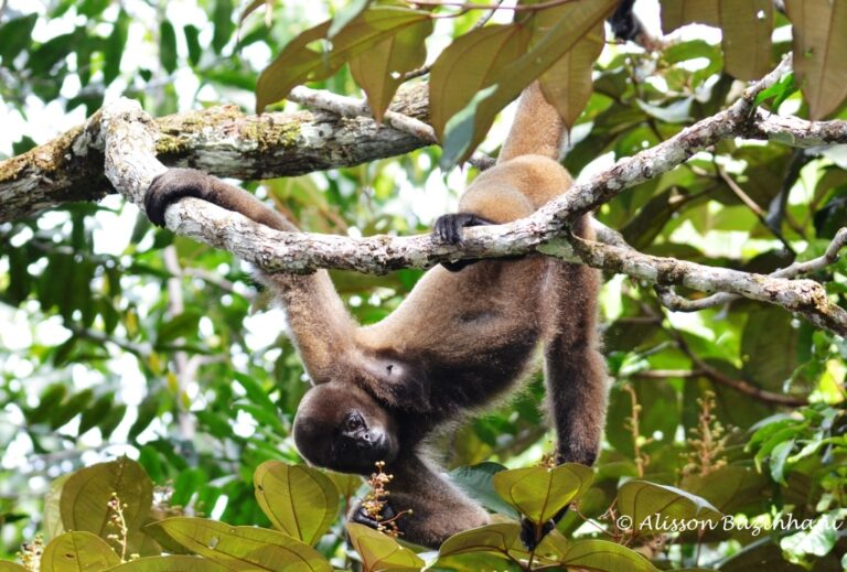 ????????????????????????????????????