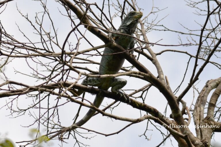 ????????????????????????????????????