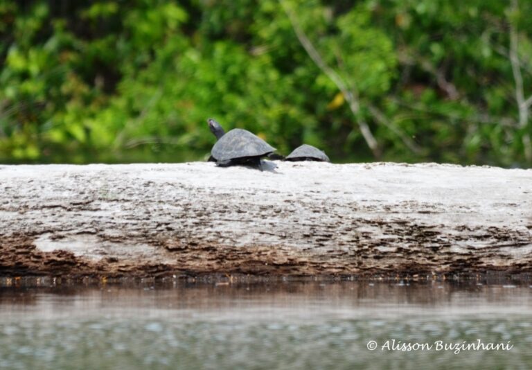 ????????????????????????????????????