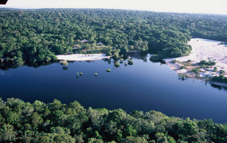 Amazon Ecopark Jungle Lodge (98)