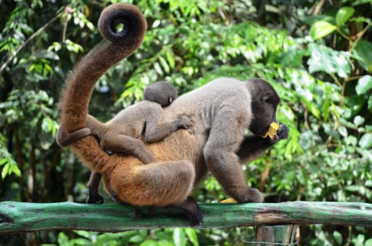 ecoadventures-atrativo-129-DSC_0537_GD-