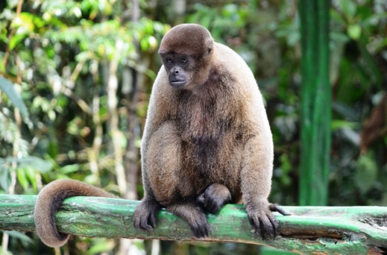 ecoadventures-atrativo-129-DSC_0538_GD-