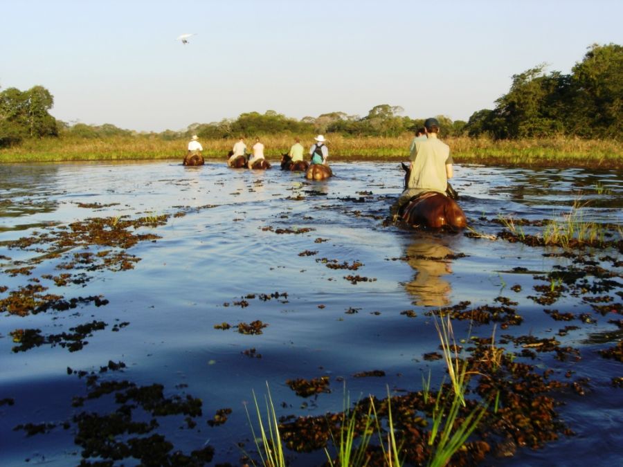 Dia do Pantanal: Cavalgadas são aventura certa para viver um pouco da  cultura do homem pantaneiro – Turismo MS