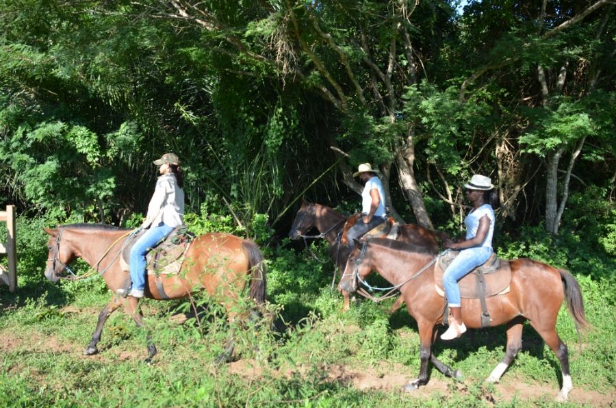 A cavalo, no Pantanal