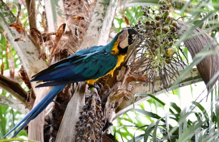 ecoadventures-atrativo-47-DSC_3606_GD-