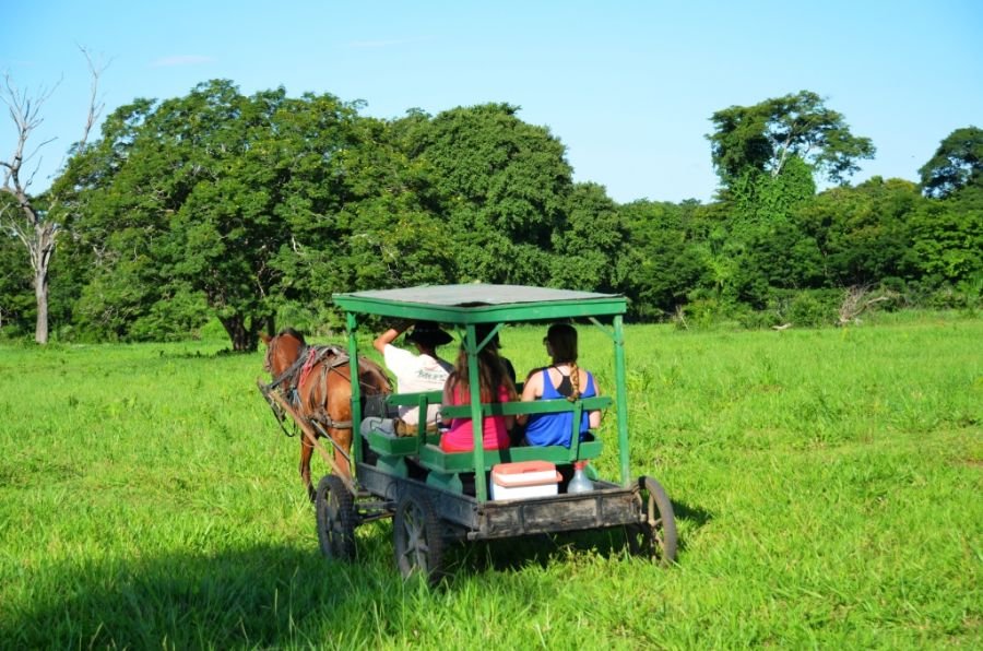 Mata Cavalo, Luis e Elaina