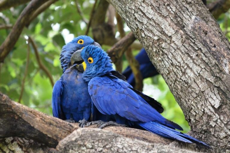 ecoadventures-atrativo-47-DSC_5506_GD-