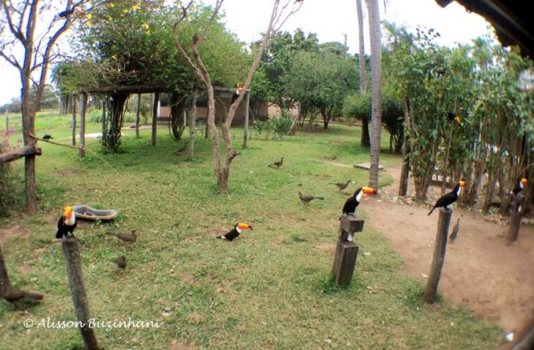 ecoadventures-atrativo-47-IMG_0768_GD-