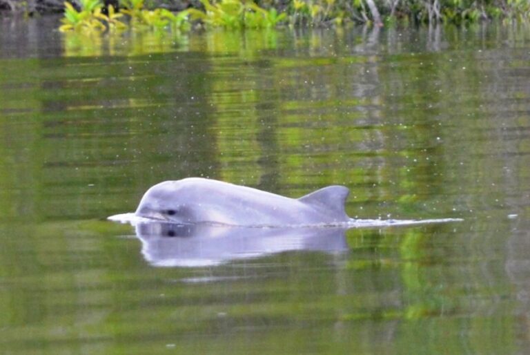 ecoadventures-atrativo-71-DSC_1215_GD-