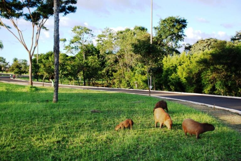 ecoadventures-destino-15-DSC_0429_GD-