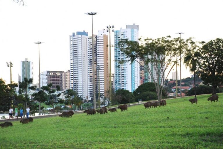 ecoadventures-destino-15-DSC_0492_GD-