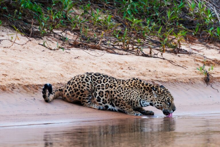 3f4f70477871eb2dbb346b8ddd64917f