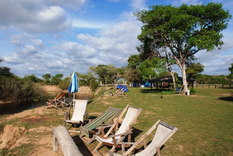 ????????????????????????????????????