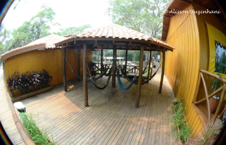 ????????????????????????????????????