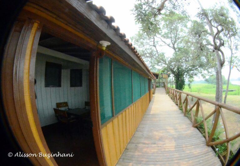 ????????????????????????????????????