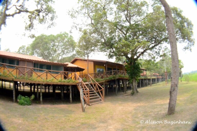 ????????????????????????????????????