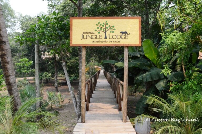 ????????????????????????????????????