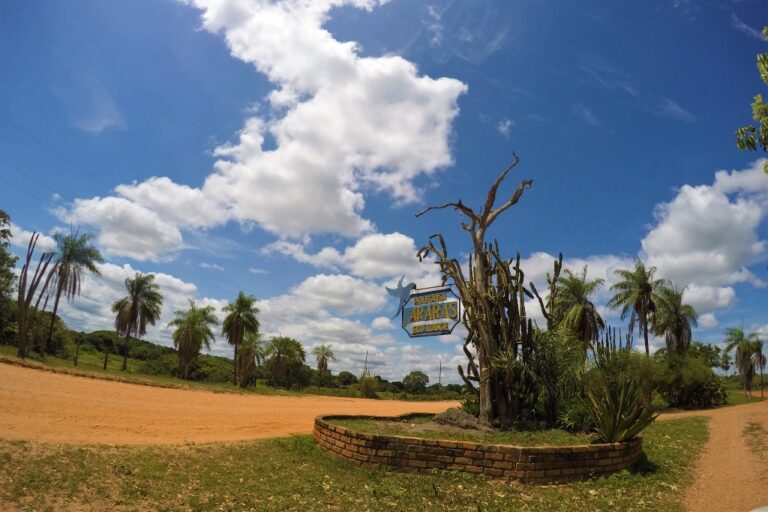 DCIM100GOPROG0470103.