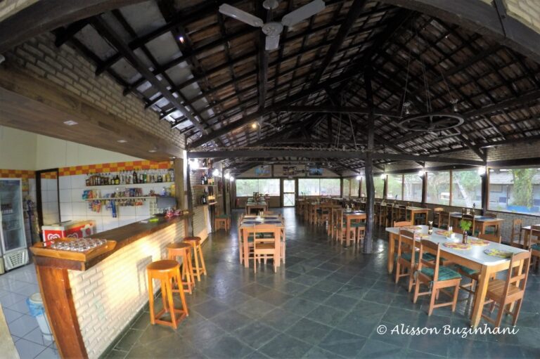 DCIM100GOPROG1000169.