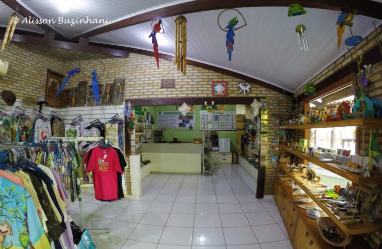 DCIM100GOPROG1030173.