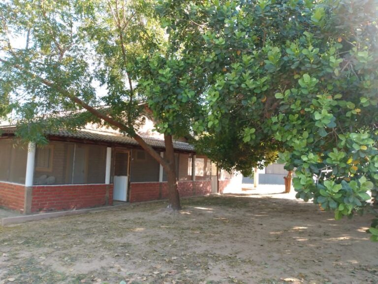 Southwild Porto Jofre Lodge (14)