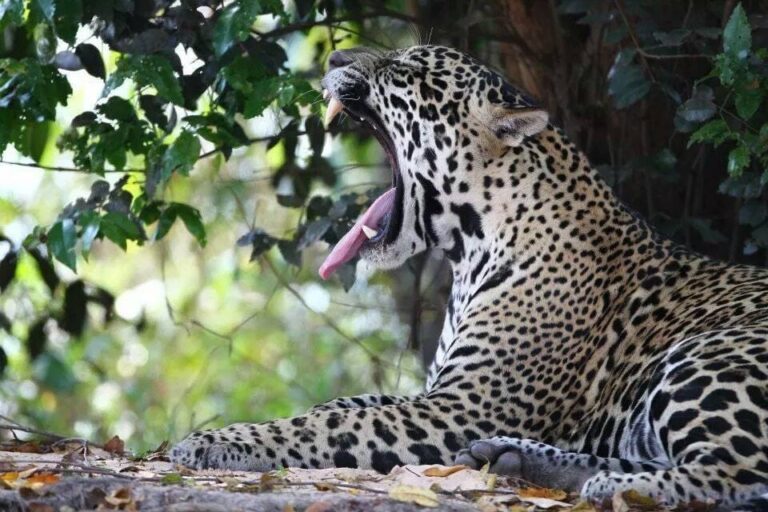 cbc0fe27-bf5b-4962-bce8-6d8ea3264c83