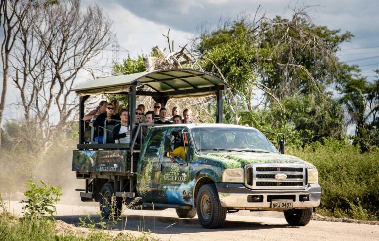 e71e8f51f4178dfec17804d2a641b900