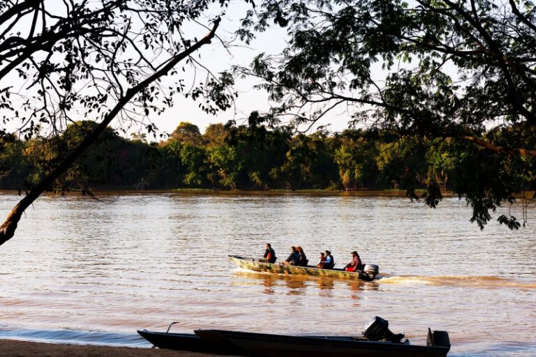 f8e605cc3395f3e06863cd5a5280ad44